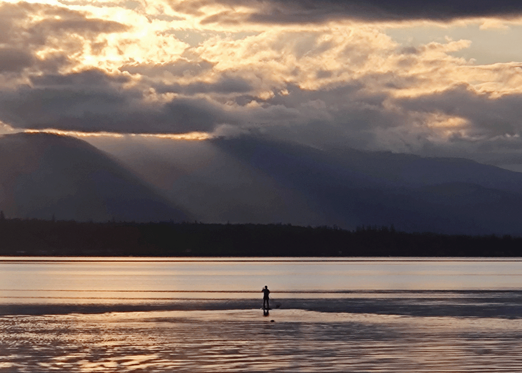 Paddle boarding towards the sunset, with a seal following behind. 