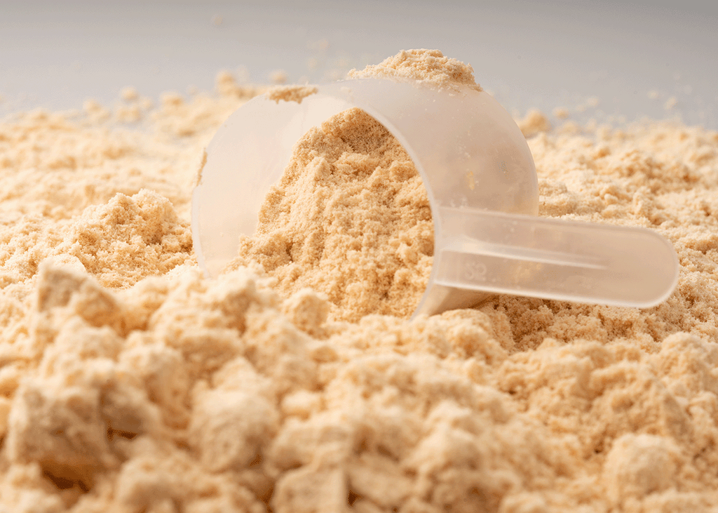 What’s the difference between Whey Protein Isolate and Whey Protein Concentrate?